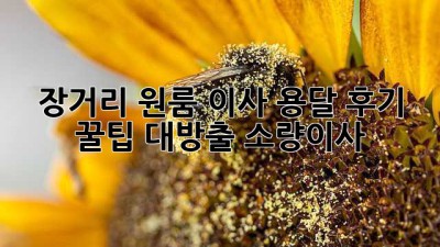 🚚💨 장거리 원룸 이사, 용달 후기 & 꿀팁 대방출! #소량이사